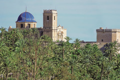 elche-palmeral